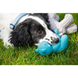 Little Petface Latex Teddy Bear Puppy Toy