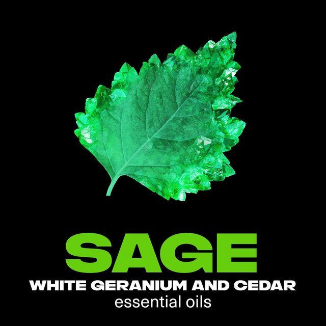 Lynx Fine Fragrance Collection Premium Deodorant Bodyspray Emerald Sage 150ml