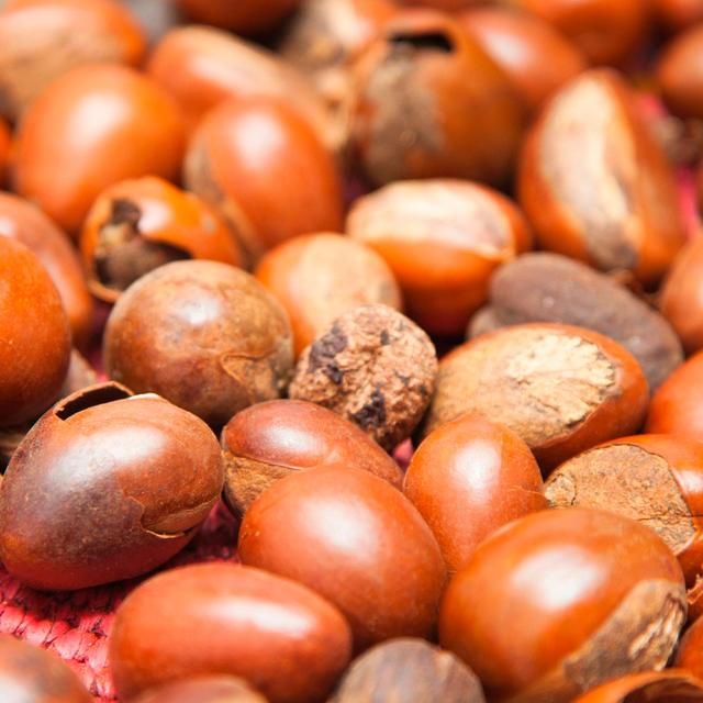 Maui Moisture Revive & Hydrate+ Shea Butter Hair Mask 340g