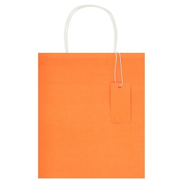 Medium Recyclable Kraft Gift Bag for All Occasions Orange
