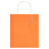 Medium Recyclable Kraft Gift Bag for All Occasions Orange