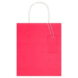 Medium Recyclable Kraft Gift Bag for All Occasions Pink