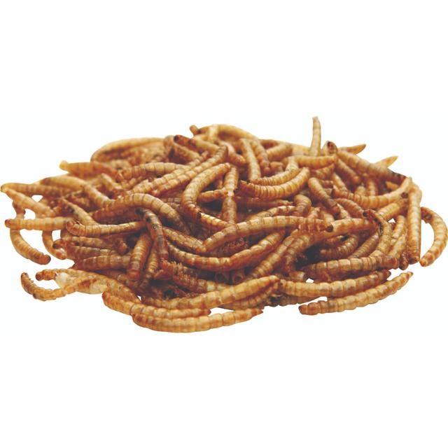 National Trust CJ Wildlife Dried Mealworms 250g