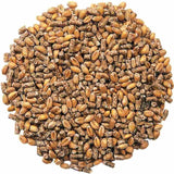 National Trust CJ Wildlife Duck & Swan Blend 1.5L