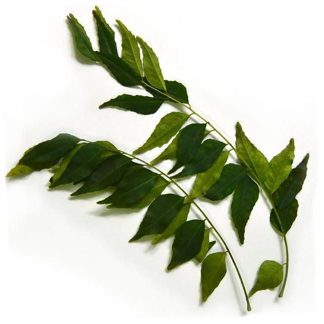 Natoora Curry Leaves 4g