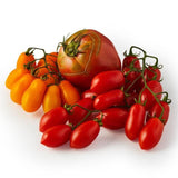 Natoora Seasonal Tomato Selection 600g