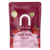 Naturya Gut Feel Flaxseed Blend Tropical 240g