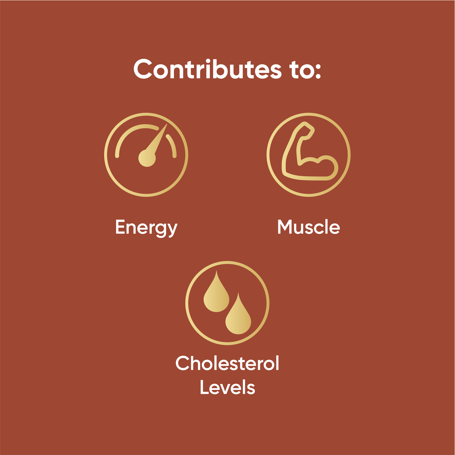 Naturya Organic Superfood Breakfast Boost Seed Crunch 150g