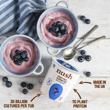 Nush Blueberry Almond Yoghurt 350g