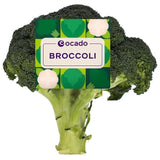 Ocado Broccoli 350g