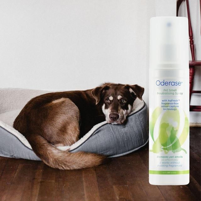 Oderase Pet Smell Neutralising Spray   200ml