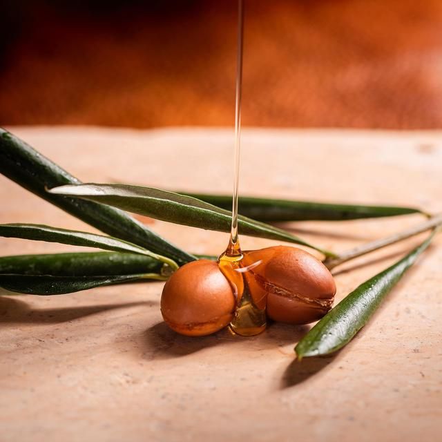 OGX Hydrate & Revive+ Argan oil Extra Strength pH Balanced Conditioner 385ml