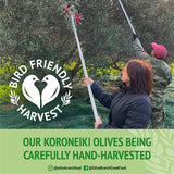 Olive Branch Greek Extra Virgin Olive Oil 1L