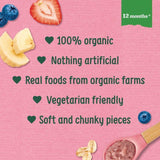 Organix Berry Sunshine Bowl With Yoghurt Banana & Oats Toddler Meal   120g