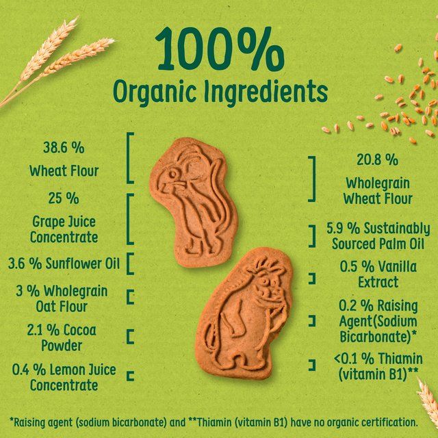 Organix Cocoa & Vanilla Organic Gruffalo Biscuits 12 mths+ Multipack   5 x 20g