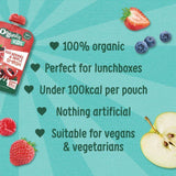 Organix KIDS Red Berries & Apple Smash Pouch    100g