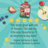Organix KIDS Red Berries & Apple Smash Pouch    100g