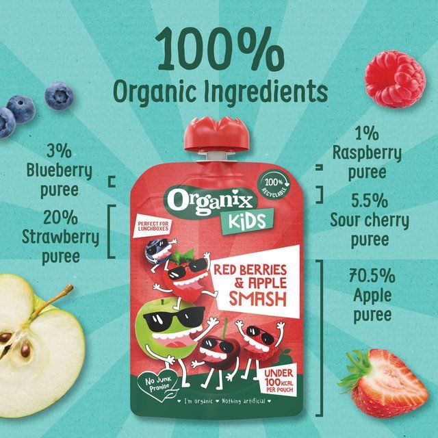 Organix KIDS Red Berries & Apple Smash Pouch    100g