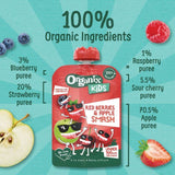 Organix KIDS Red Berries & Apple Smash Pouch    100g