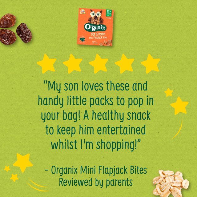 Organix Mini Organic Oat & Raisin Flapjack Toddler Snacks Multipack   4 x 20g