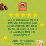Organix Mini Organic Oat & Raisin Flapjack Toddler Snacks Multipack   4 x 20g