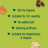 Organix Mini Organic Oat & Raisin Flapjack Toddler Snacks Multipack   4 x 20g