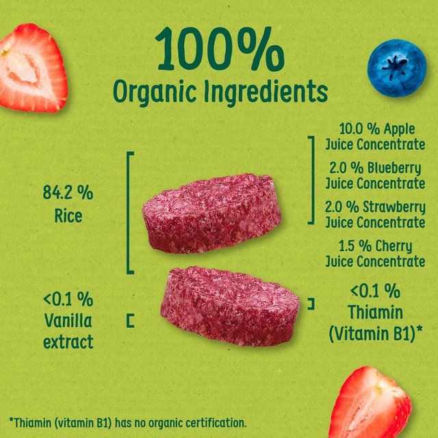 Organix Summer Fruits Rice Cake Clouds Baby Snack 7 months+ 40g