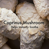 Origins Dr. Weil Mega-Mushroom Face Serum 30ml