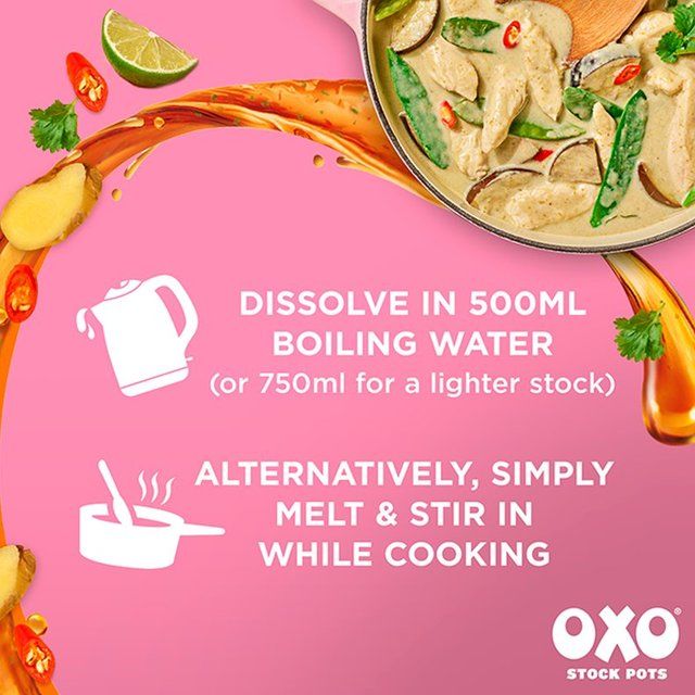 Oxo Aromatic Asian Stock Pots 4 x 20g