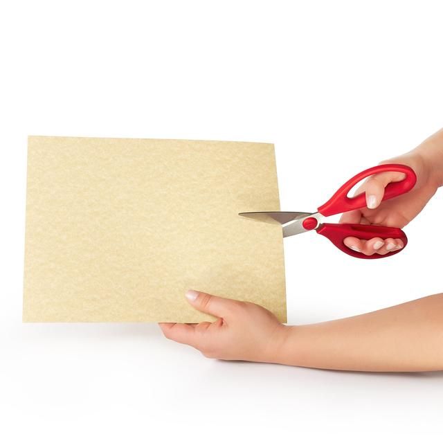 OXO SoftWorks Kitchen Shears