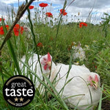 Packington Free Range Skin On Chicken Breasts Typically: 480g