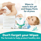 Pampers Baby-Dry Nappy Pants Size 3 (6-11kg) Essential Pack 44 per pack