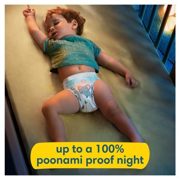 Pampers Baby-Dry Size 6 Nappies Carry Pack x19