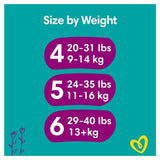 Pampers Premium Protection Size 6 28 Nappies Essential Pack 28 per pack