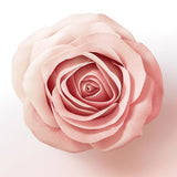 Pantene Lift & Volume Hair Conditioner, Biotin, 275ml