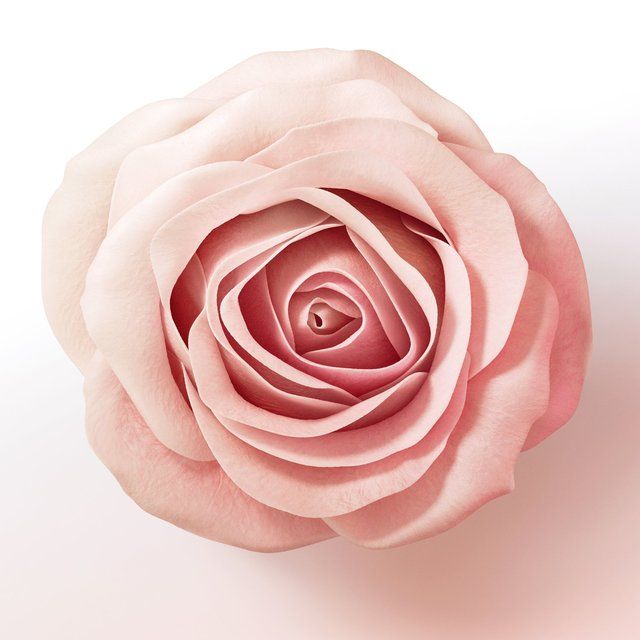 Pantene Pro-V Leave-In Hair Thickening Treatment with Biotin & Rose Water 100ml