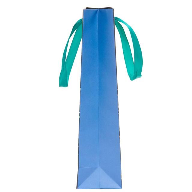 Party Popper Bottle Gift Bag