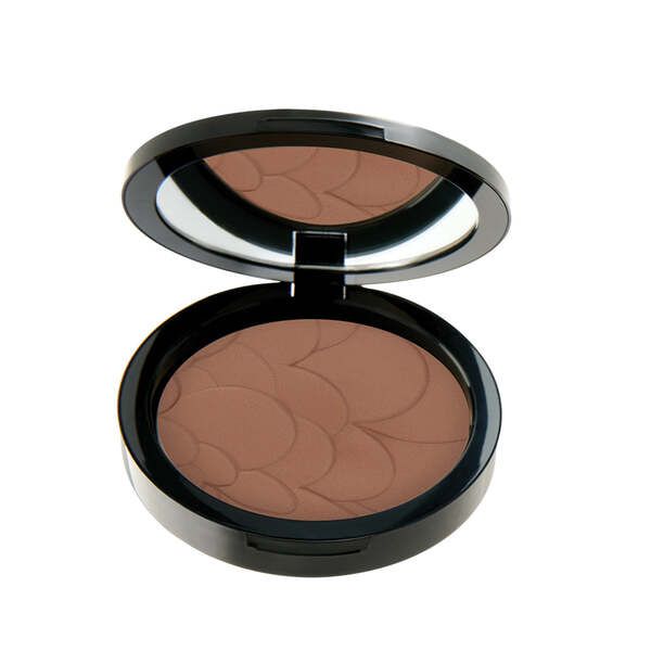 Pastel Profashion Advanced Compact Powder Sand 45 Chestnut 60