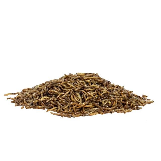 Peckish Mealworms For Wild Birds 500g