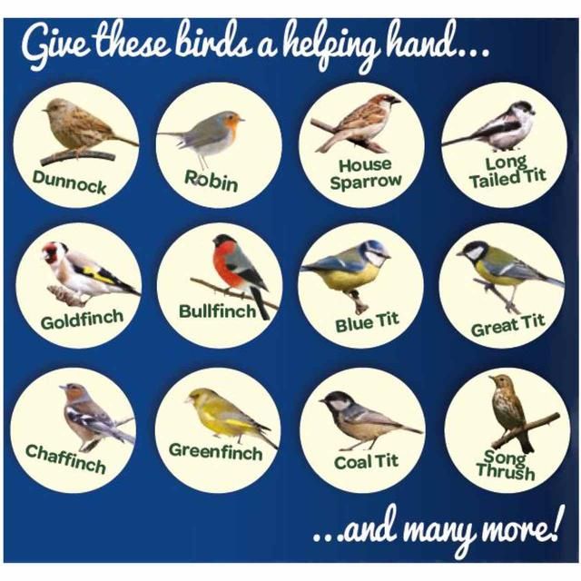 Peckish Mealworms For Wild Birds 500g