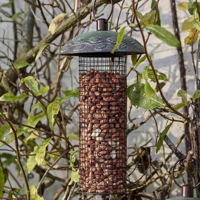 Peckish Peanuts For Wild Birds 2kg