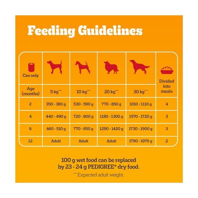 Pedigree Puppy Wet Dog Food Tins Mixed in Jelly 6 x 400g