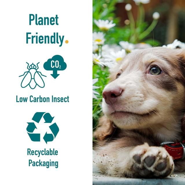 Percuro Insect Protein Puppy Large Breeds Dry Dog Food 2kg