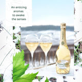 Perrier Jouet Blanc de Blanc 75cl