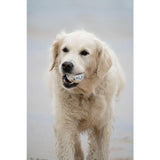 Petface Outdoor Paws Mighty Ball Dog Toy Large