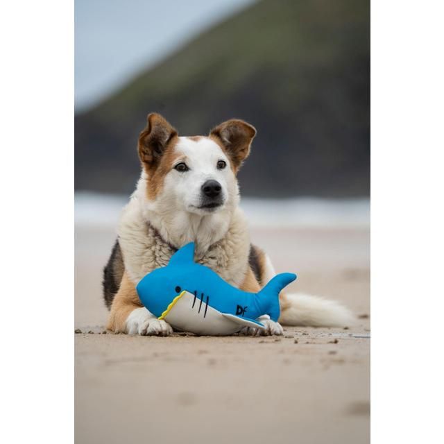 Petface Planet Ocean Cycle Salina Shark Plush Dog Toy