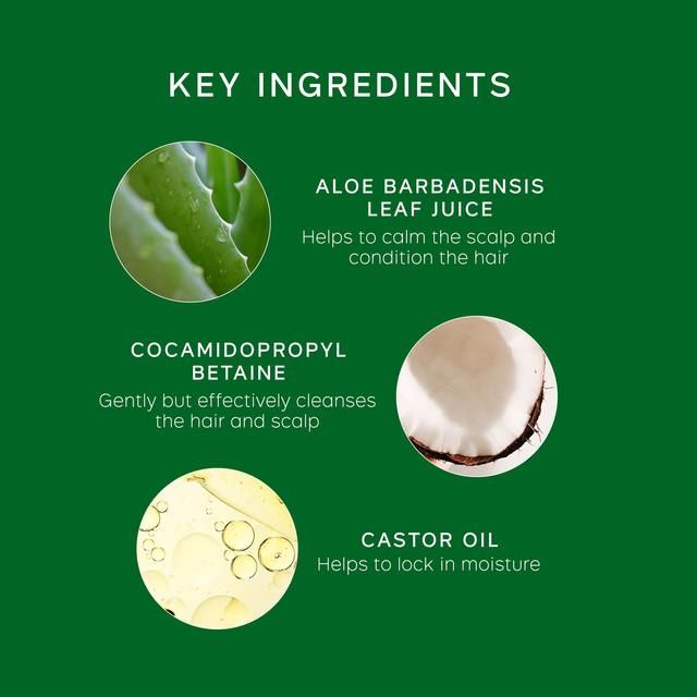 Philip Kingsley Flaky Itchy Scalp Anti-Dandruff Shampoo 500ml