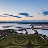 Pink Flamingo Organic Camargue Rose 75cl