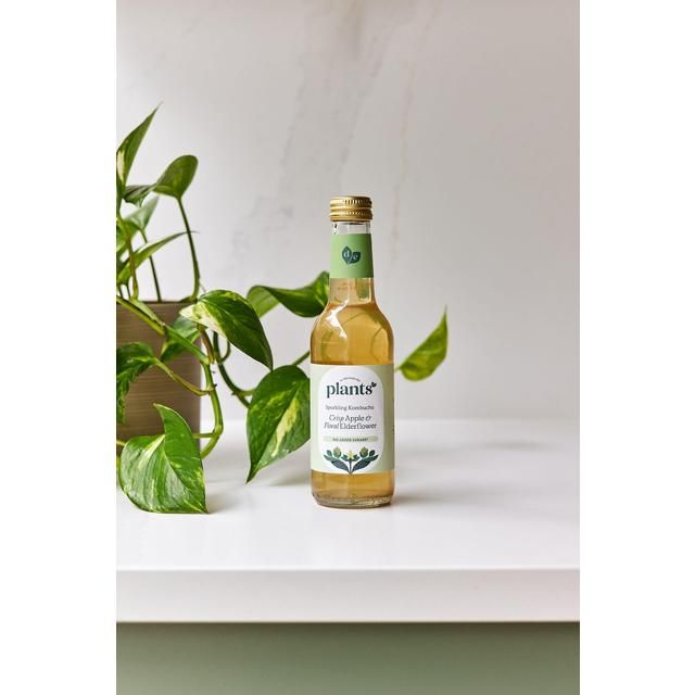 Plants by Deliciously Ella Apple and Elderflower Kombucha 250ml