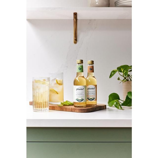 Plants by Deliciously Ella Apple and Elderflower Kombucha 250ml